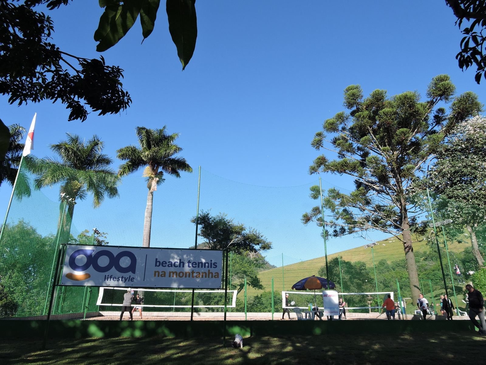 Quadra de beach tennis entre palmeiras